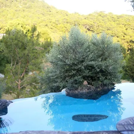 Villa Mutaf